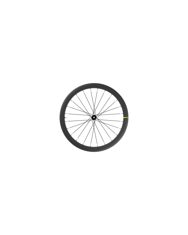 RUEDAS MAVIC COSMIC SL 45